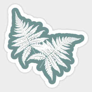 Two fern leaves Sticker